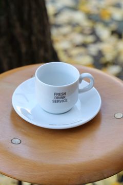 フレッシュサービス FDS_CUP & SAUCER(FDS251-99210)WHITE☆12月14日(土)発売！