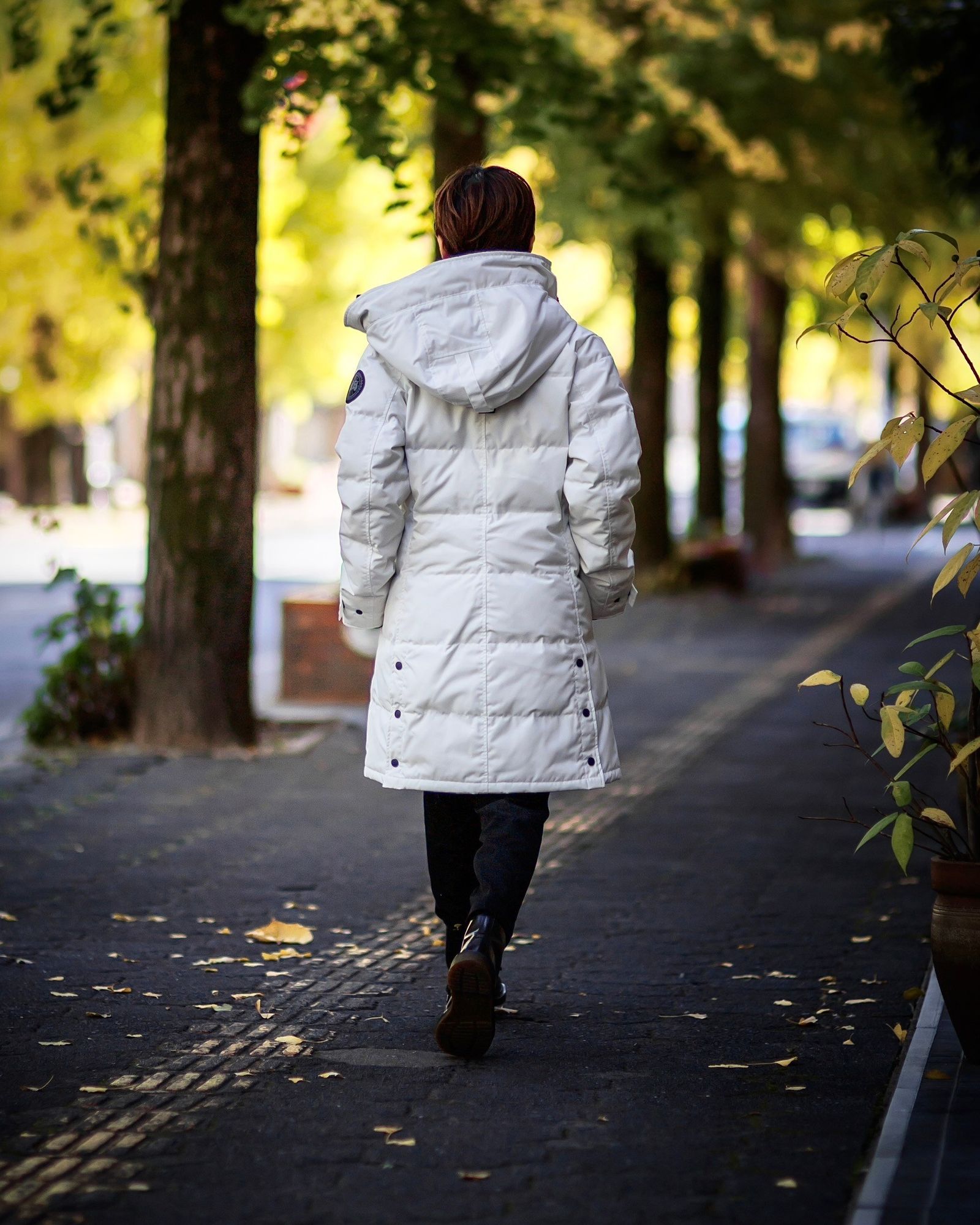 ● ●SHELBURNE シェルバーン ホワイトレーベル 特典対象】シェルバーン パーカ(3802W)｜FW25コレクション