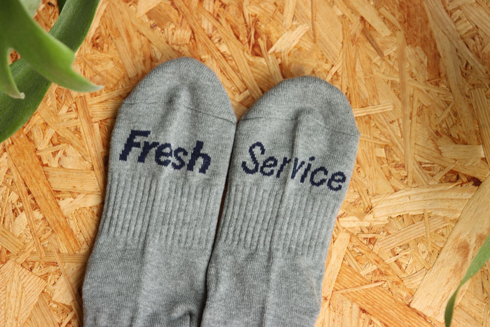 フレッシュサービスソックス SIGNATURE 3-PACK SOCKS (MONOTONE)☆再入荷！