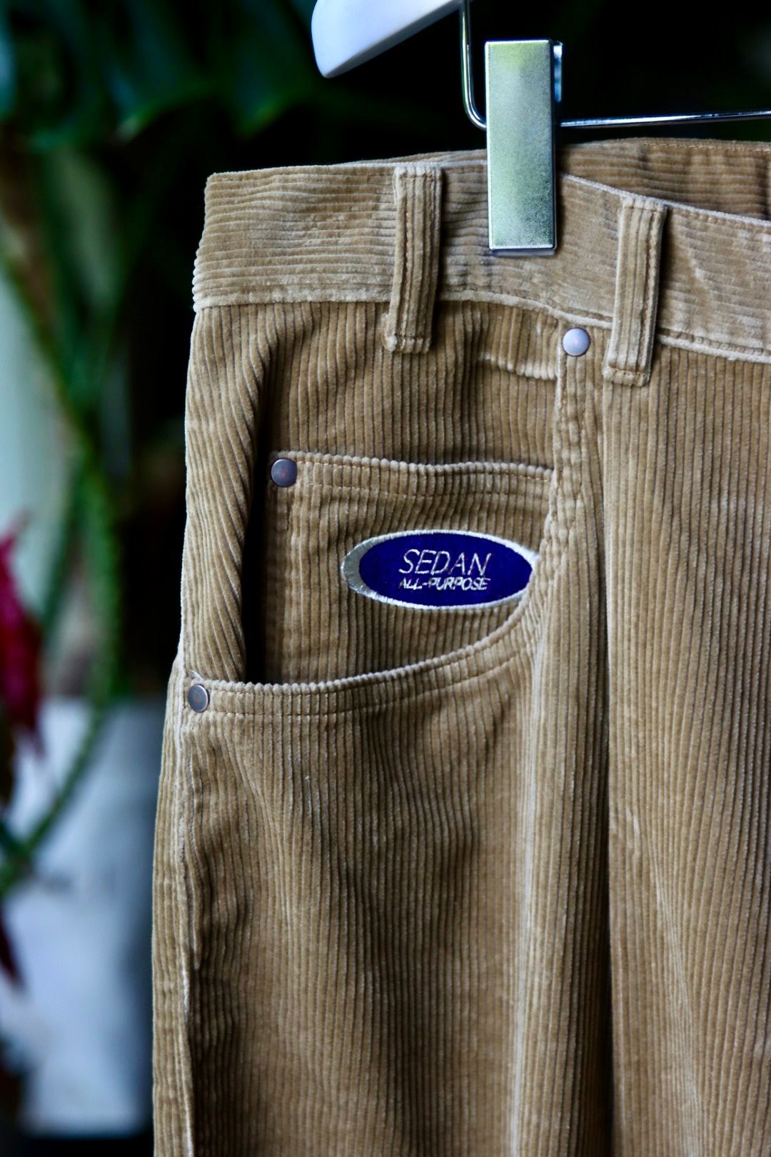セダンオールパーパス23FW OVAL LOGO CORDUROY PANT(SD23F-PT06)CAMEL