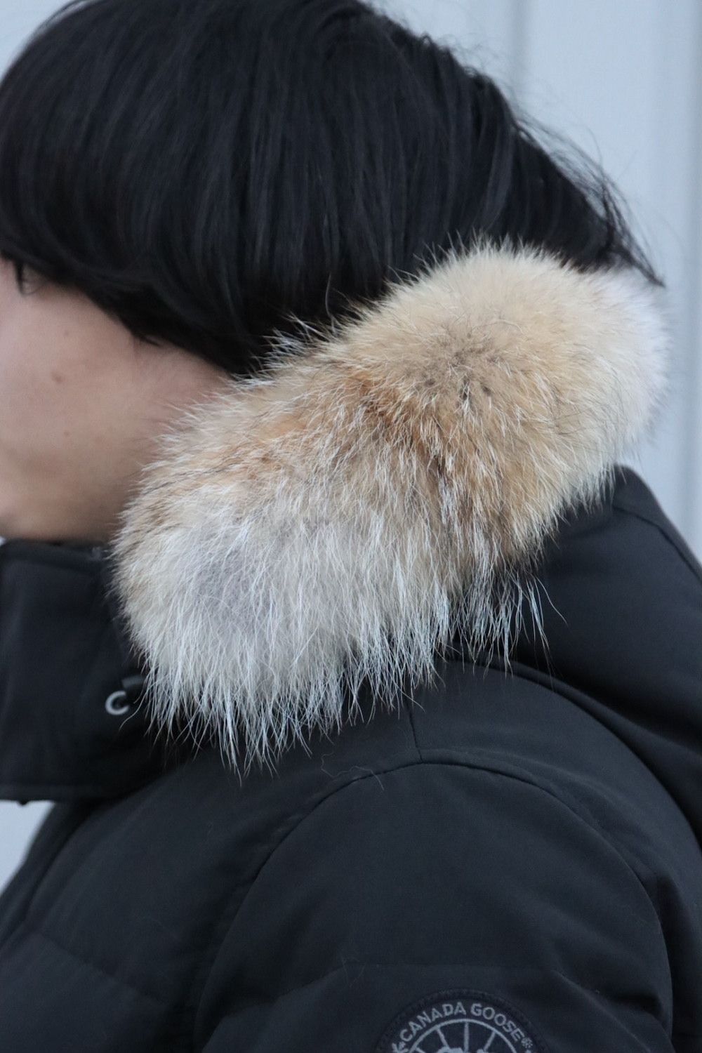 CANADAGOOSE WYNDHAM PARKA BLACK LABEL style. 2022.11.21.
