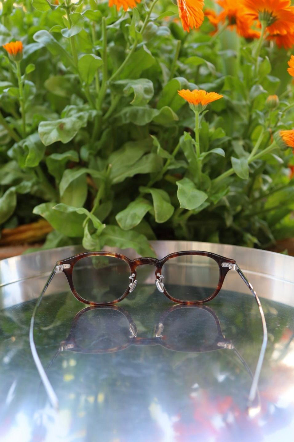 ノチノオプティカル  "JIFUSAN" #3.RICH AMBER × GREY GREEN to D.GREY(調光モデル)☆4月18日(土)再入荷！