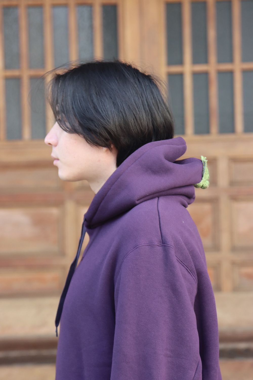 doublet VEGETABLE STEM EMBROIDERY HOODIE(22SS30CS211) style.2022.1.15.