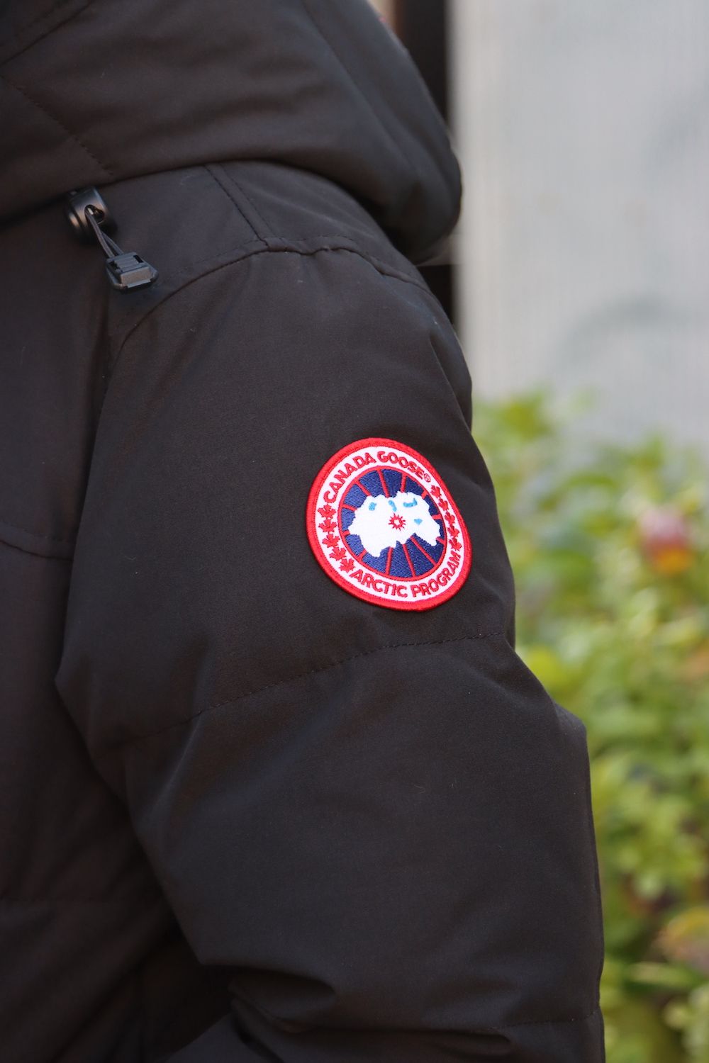 CANADA GOOSE MACMILLAN PARKA FF(3804MA) style.2021.11.27 | 2115 | mark