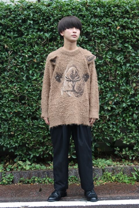 doublet ANIMAL EMBROIDERY PULLOVER(21AW33KN55) style.2021.09.18