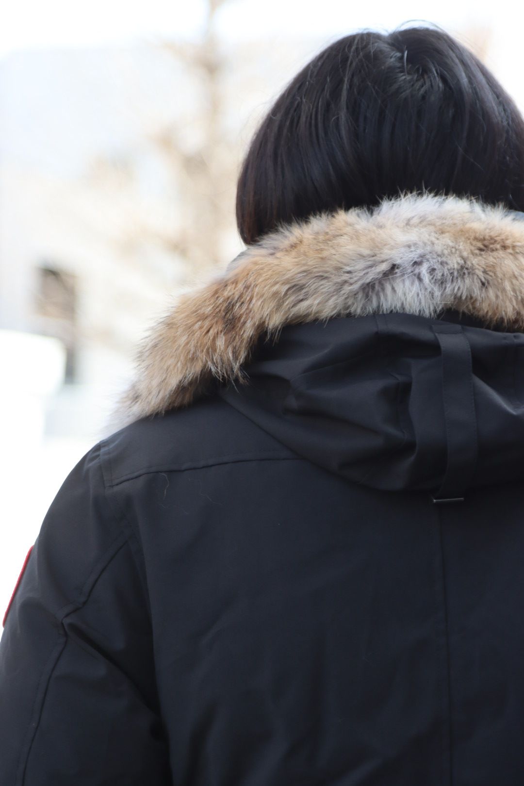 CANADA GOOSE JASPER PARKA style.2022.12.16