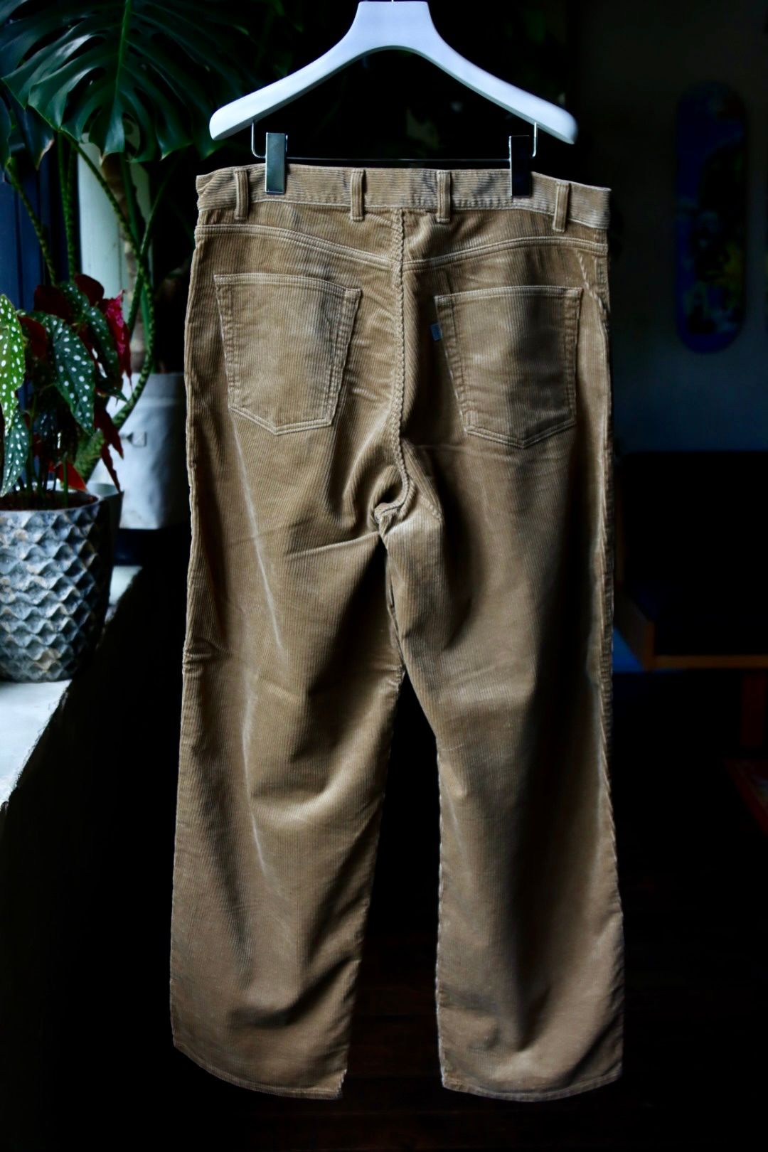 セダンオールパーパス23FW OVAL LOGO CORDUROY PANT(SD23F-PT06)CAMEL