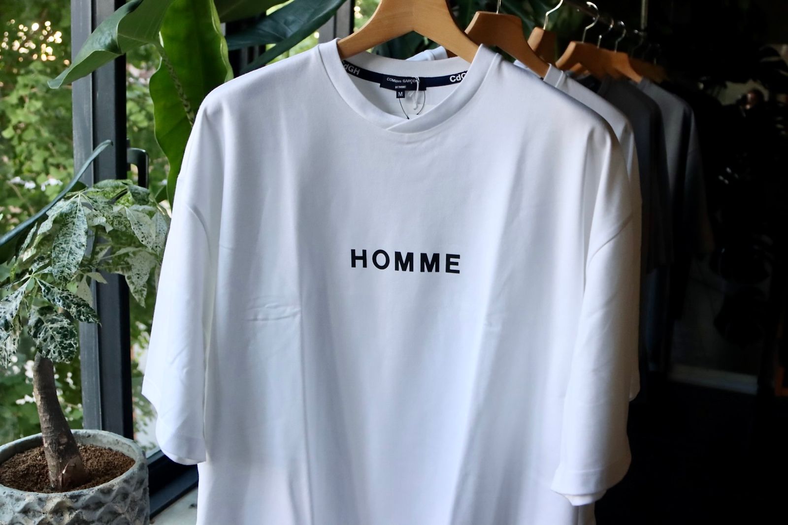 COMME des GARCONS HOMME - コムデギャルソンオム23AW 綿天竺ロゴ