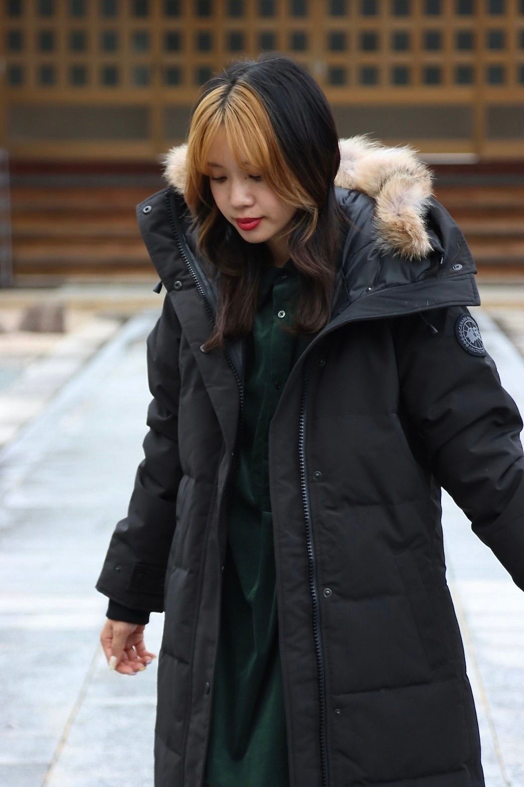 カナダグースレディース22AW SHELBURNE PARKA BLACK LABELスタイル