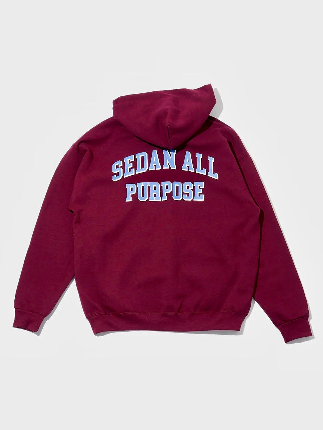 SEDAN ALL-PURPOSE - セダンオールパーパスFW23 COLLEGE LOGO HOODIE