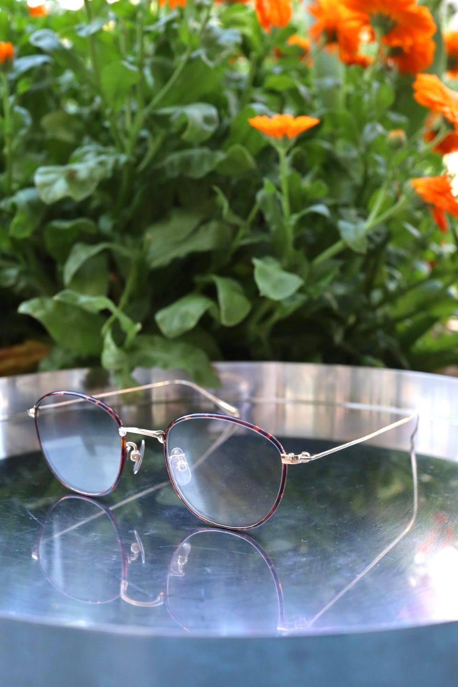 ノチノオプティカル KOUGETSU NOCHINO-N13 #5. CHAMPAGNE GOLD & AMBER× CLEAR to D.GREY (調光モデル)☆4月18日(土)再入荷！