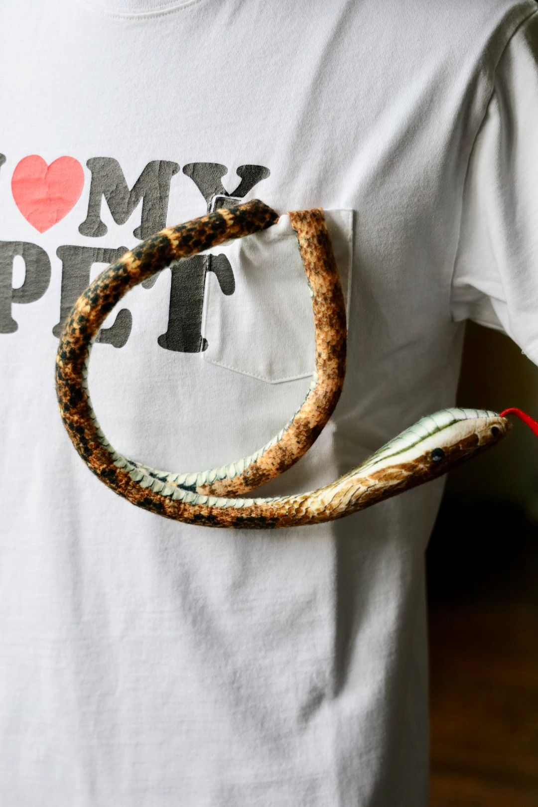doublet 25AW  I LOVE MY PET T-SHIRT (25AW37CS399)WHITE