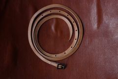 エンダースキーマ snake belt(ol-rs-snb)natural/gold AG