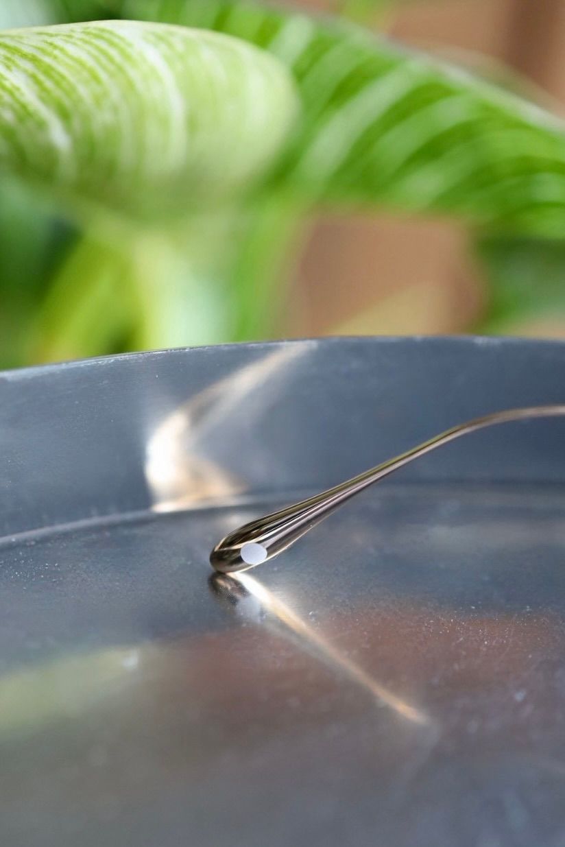 ノチノオプティカル KOUGETSU NOCHINO-N13 #4 CHAMPAGNE GOLD × GREY GREEN to GREY (調光モデル)☆11月22日(土)発売！