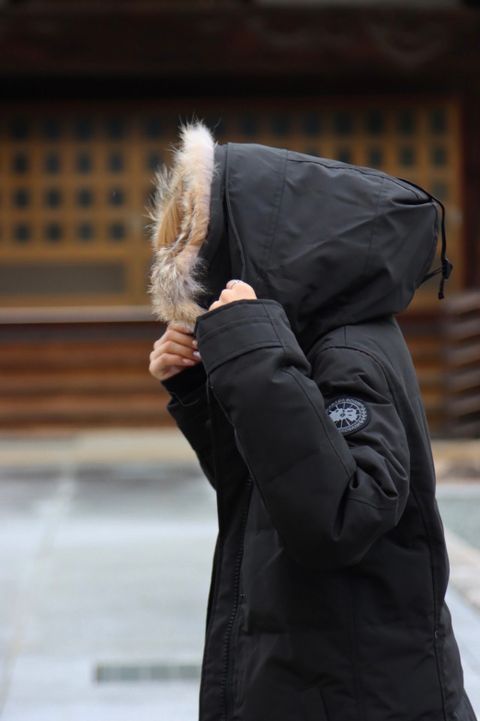カナダグースレディース22AW SHELBURNE PARKA BLACK LABELスタイル.2022.9.9.