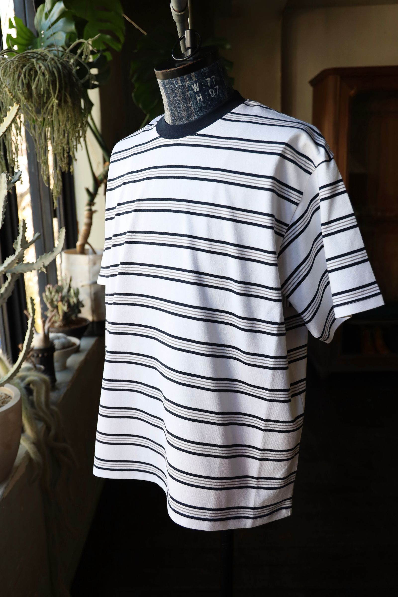 フレッシュサービス MULTI BORDER S/S TEE(FSC251-70121)WHITE