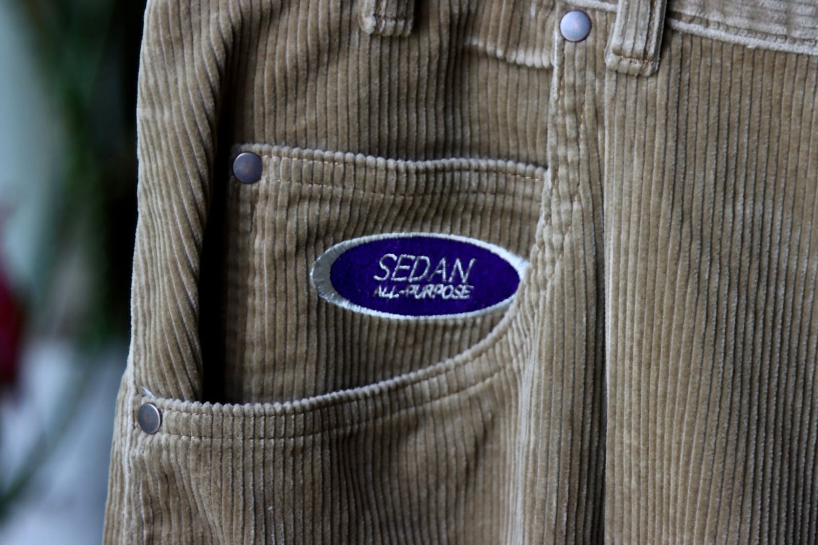 セダンオールパーパス23FW OVAL LOGO CORDUROY PANT(SD23F-PT06)CAMEL