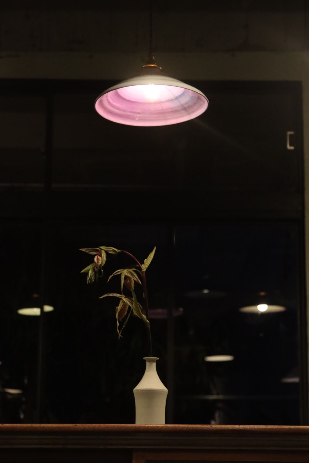 濱中史朗 / ランプシェード - 昆虫 - 紫 (19-2)