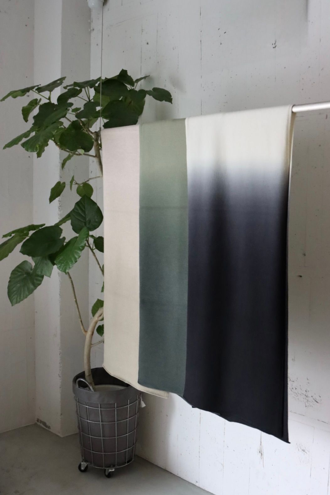 グラフペーパー 25AW Gradient Dyed Wool Knit Scarf(GU253-90494)GREEN☆9月27日(土)発売！