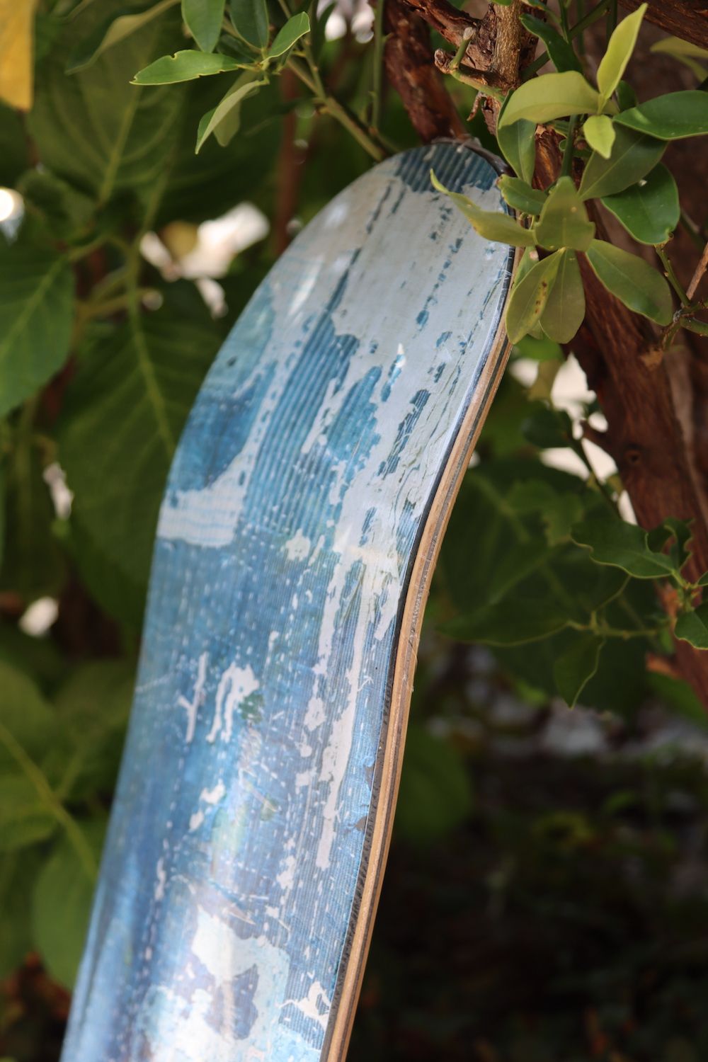 FDMTL ファンダメンタル スケートボードデッキ SKATEBOARD DECK(FA21-ACC20)BORO