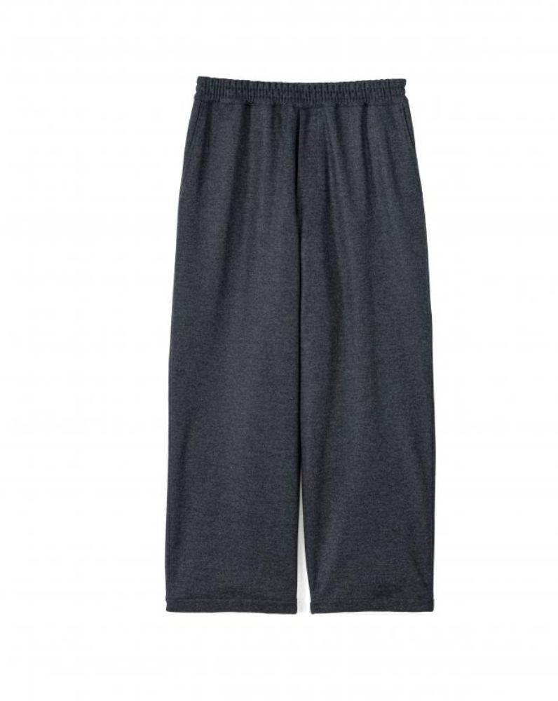 グラフペーパー 24AW Wool Smooth Flannel Easy Wide Pants (GM244-40011)GRAY