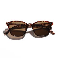 イズネスミュージックサングラス is-ness DAVID SUNGLASSES(BOSLINTON TYPE)BROWN-GRAY