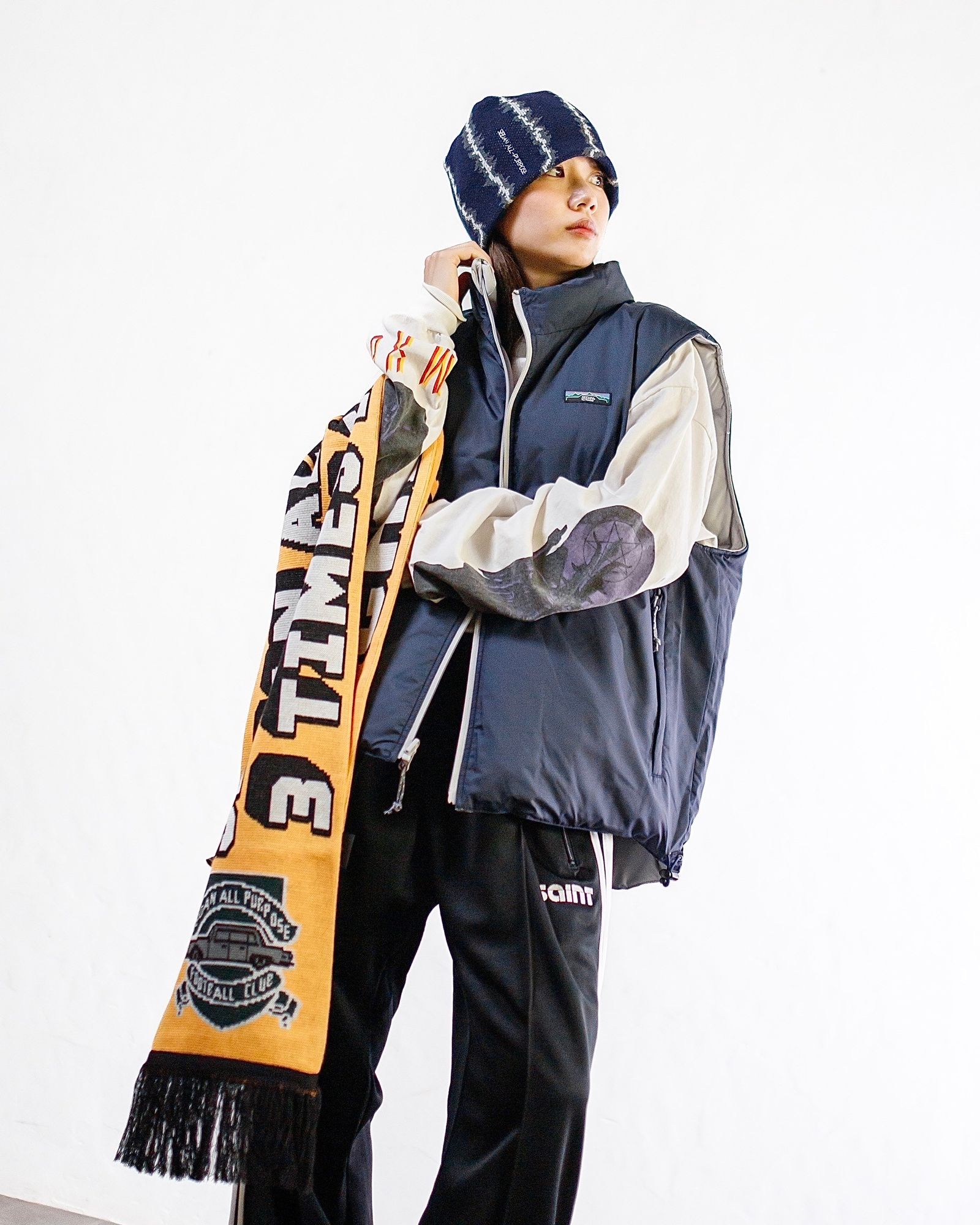 SEDAN ALL-PURPOSE Reversible Down Vest style.2024.11.17