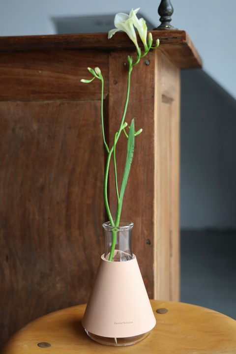 エンダースキーマ 花瓶 Erlenmeyer flask 300ml(sv-sf-300) natural
