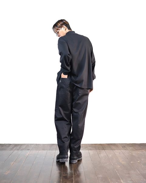 FreshService Corporate Easy Pants(BLACK STRIPE)スタイル