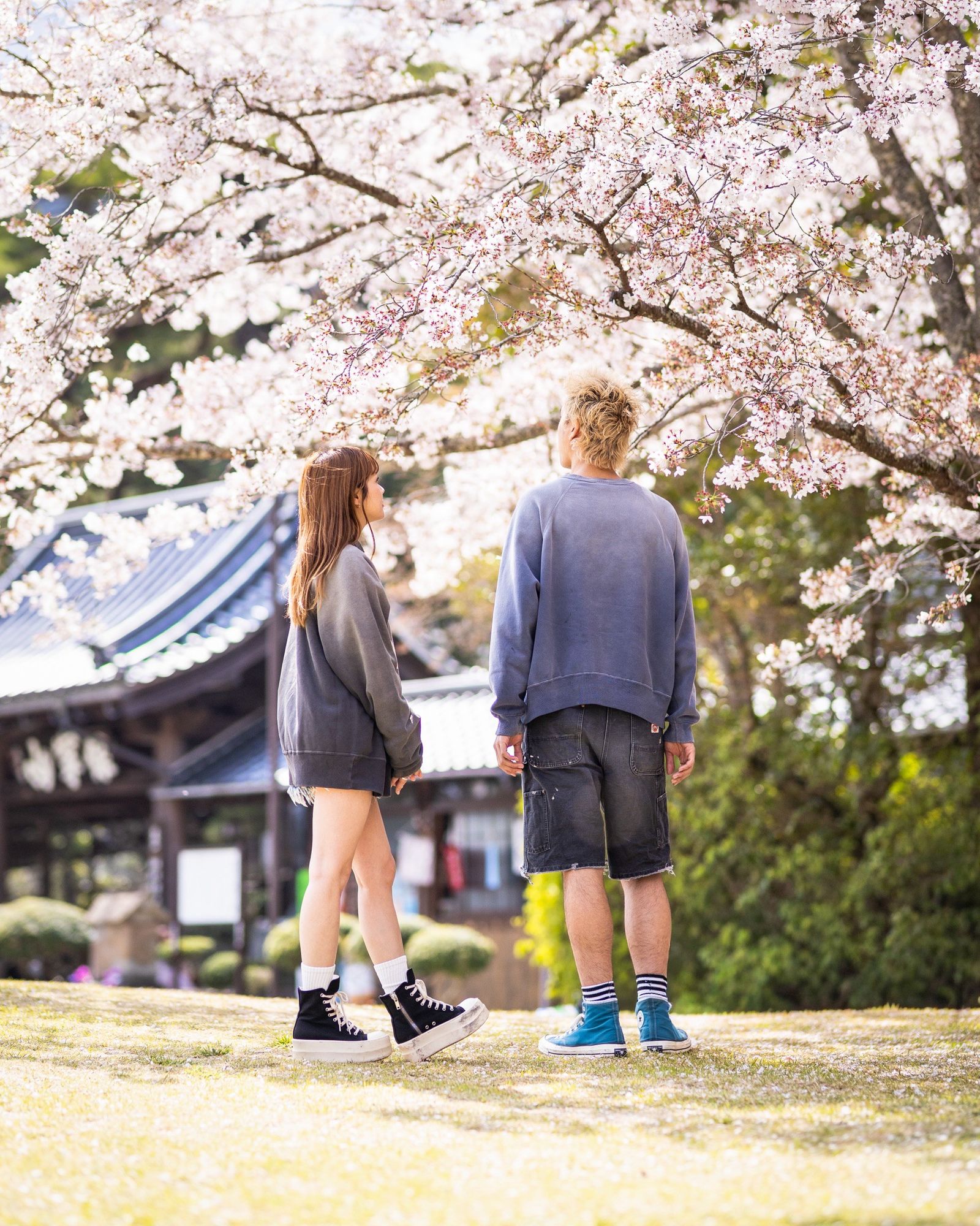 mononoke・made CREW NECK SWEAT_龍  & CREW NECK SWEAT_虎4月4日(土)新作発売！