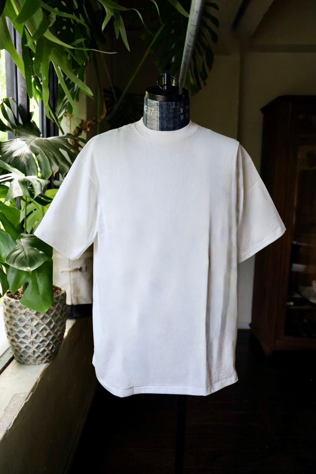 金子恵治×フルーツ オブ ザ ルーム2024新作 | MARK