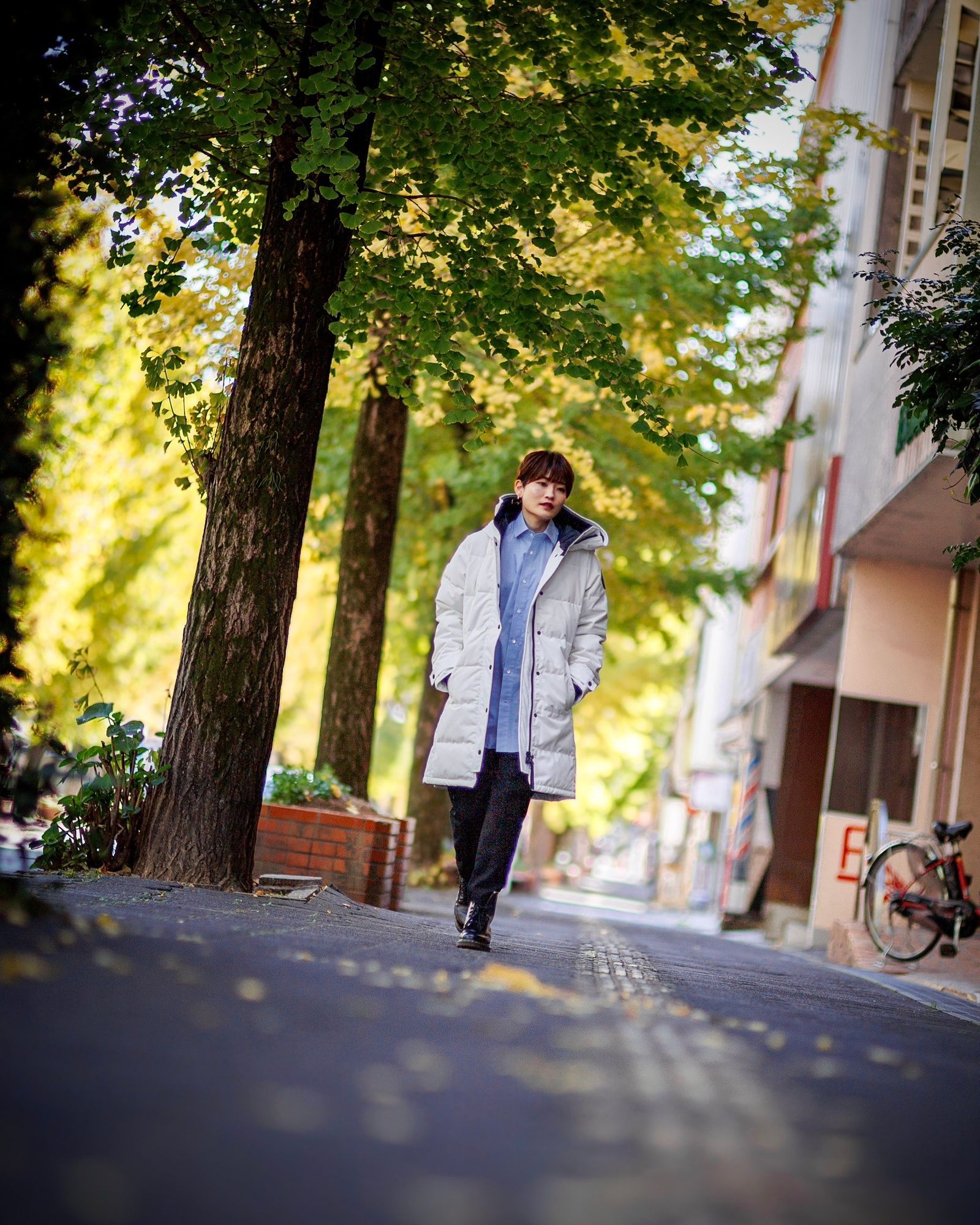 カナダグースレディース Shelburne Parka Black Label (3802WB)North Star White
