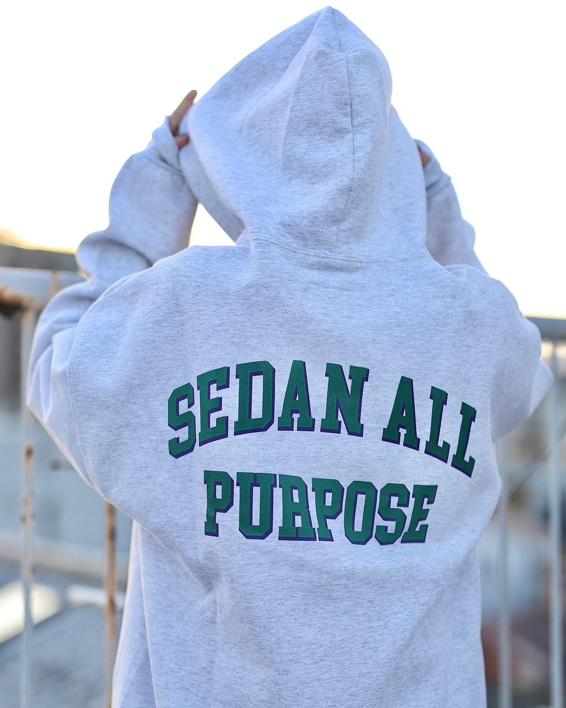 セダンオールパーパスFW23 COLLEGE LOGO HOODIE(SD23F-CT04)ASH