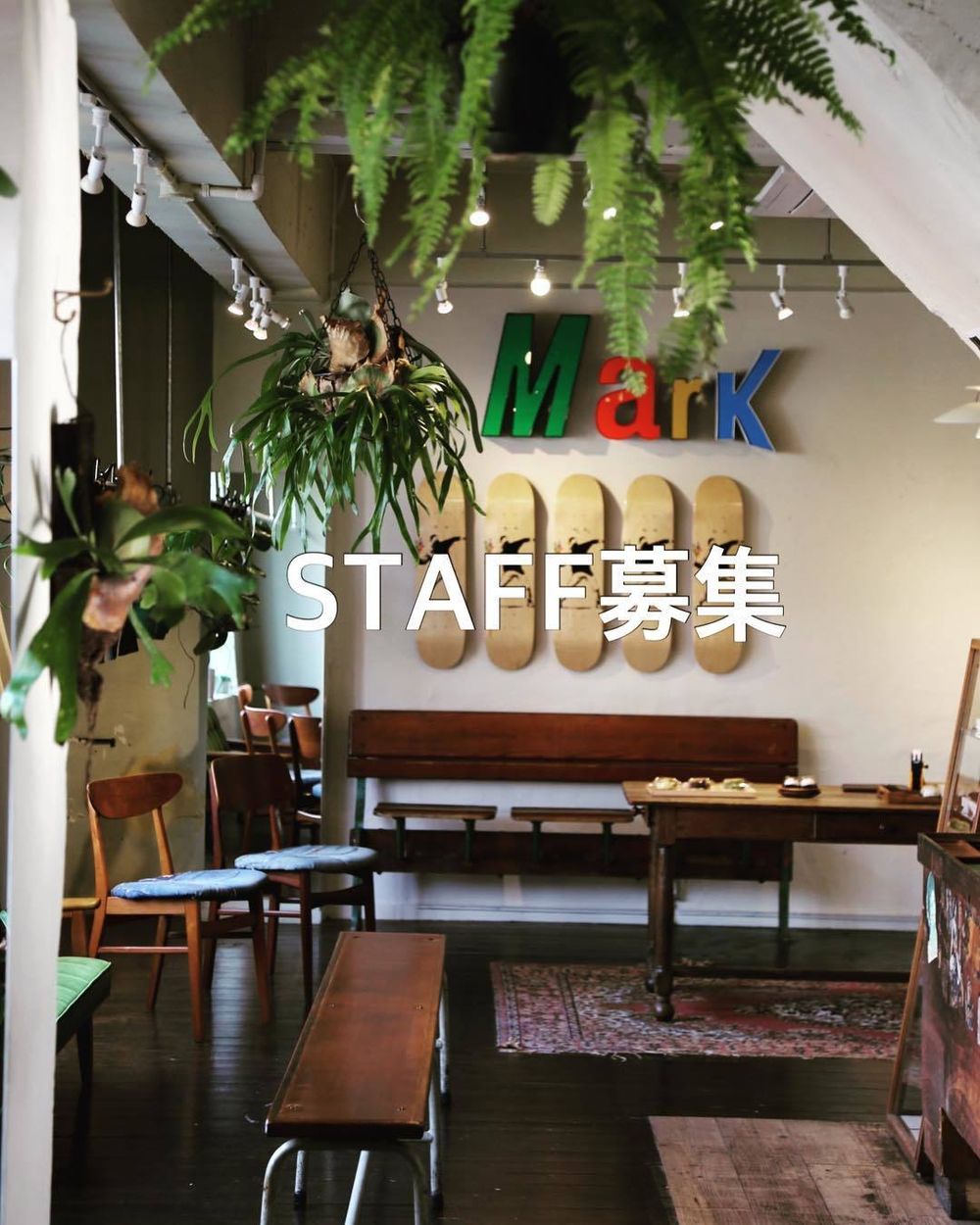 STAFF募集