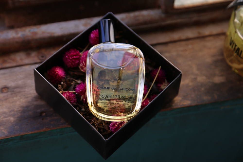 COMME des GARCONS PARFUMS - コムデギャルソン香水 Eau de Parfum 