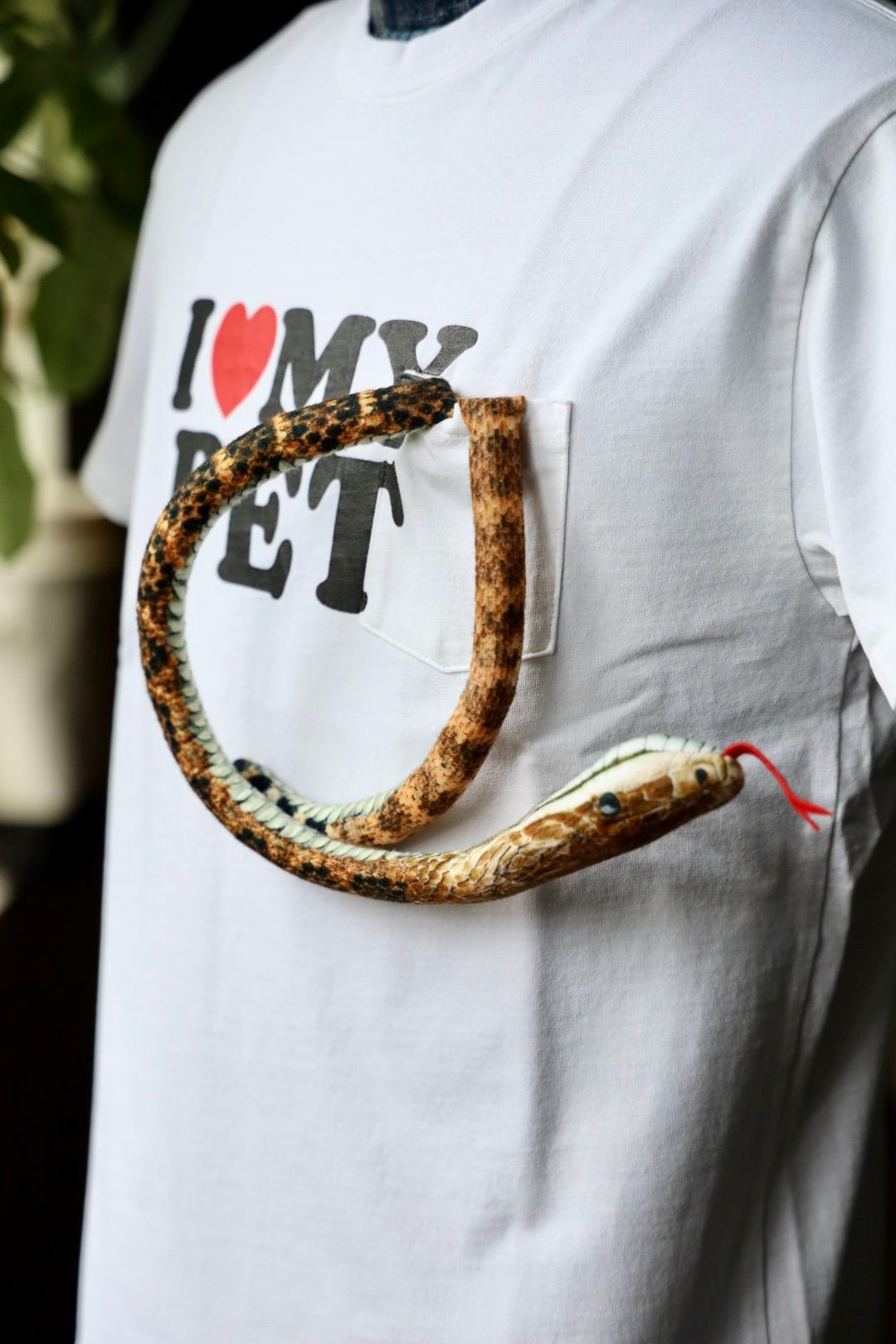 doublet 25AW  I LOVE MY PET T-SHIRT (25AW37CS399)WHITE