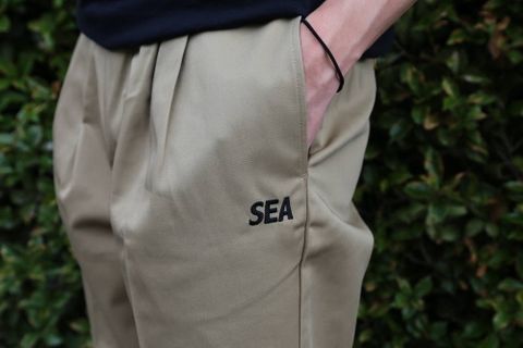 WIND AND SEA WDS x DICKIES 2TUCK TROUSERS (WDS-20S2-PT-03) ''BEIGE''style.2020.5.29.