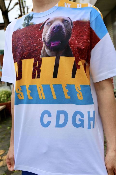 COMME des GARCONS HOMME UNDERWORLDプリントTシャツスタイル.2020.5.16.