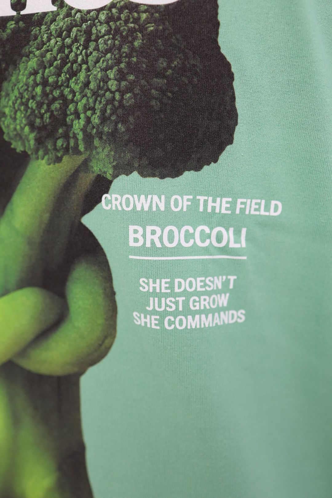 doublet ダブレット26SS FARMES MAGAZINE COVER T-SHIRT (26SS34CS430) GREEN★1月17日(土)11:00発売！