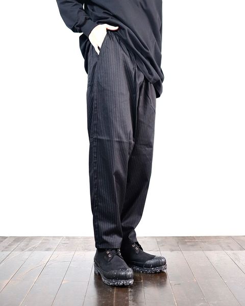 FreshService Corporate Easy Pants(BLACK STRIPE)スタイル