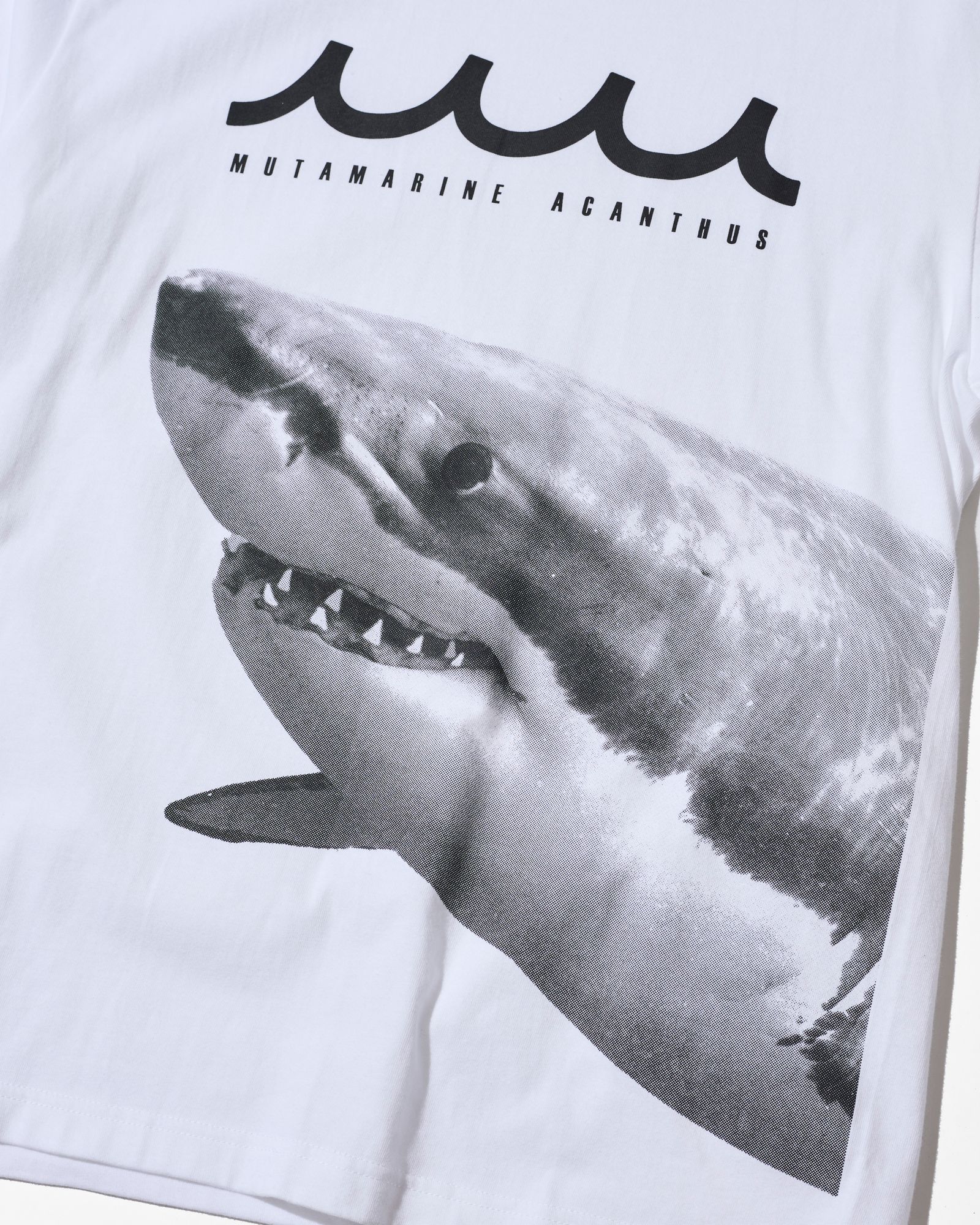 ☆先行予約☆muta MARINE × ACANTHUS  / シャークTシャツ /  Shark Tee / WHITE【MA2717】