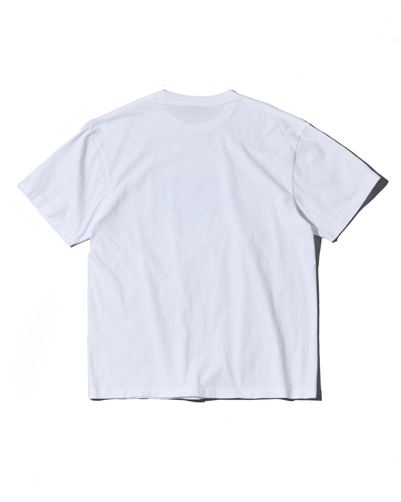 ☆先行予約☆ ヴィンテージ ロゴ Tシャツ  /  Vintage Wash Bleeding Logo Tee / WHITE【CT2706】
