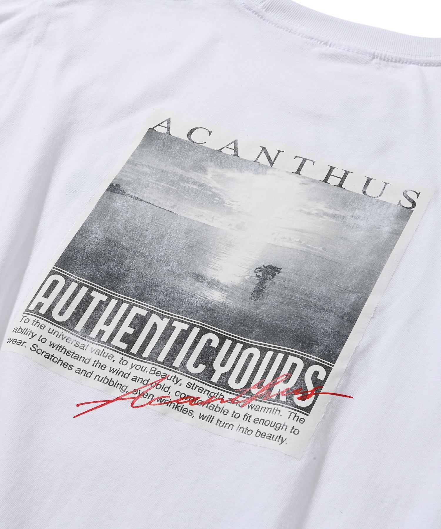 フォトペーパープリント L/S Tシャツ / Photo Paper Print L/S Tee (Ocean) / WHITE