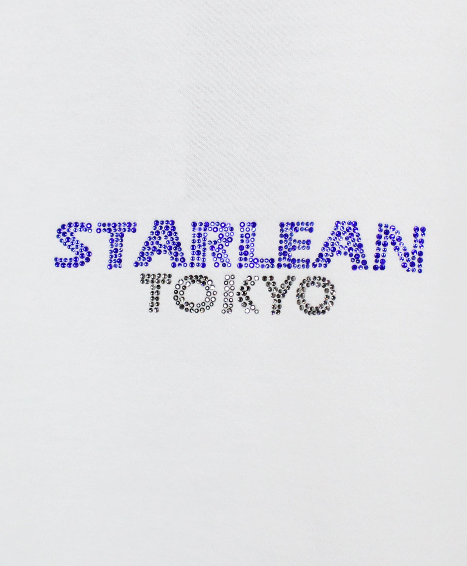 ロゴ スワロ ロンT / LOGO SWALLOW LONG T-SHIRT / WHITE [SLLT064]