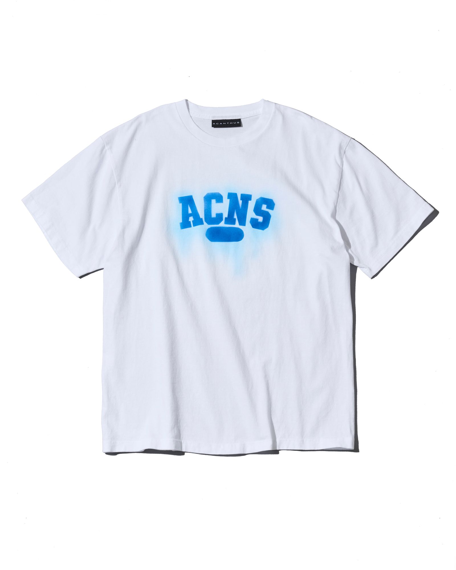 ☆先行予約☆ ヴィンテージ ロゴ Tシャツ  /  Vintage Wash Bleeding Logo Tee / WHITE【CT2706】
