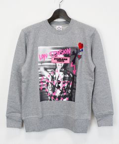 スウェット / SWALLOW HOODIE BABY SWAET / GRAY  [SLSW072]
