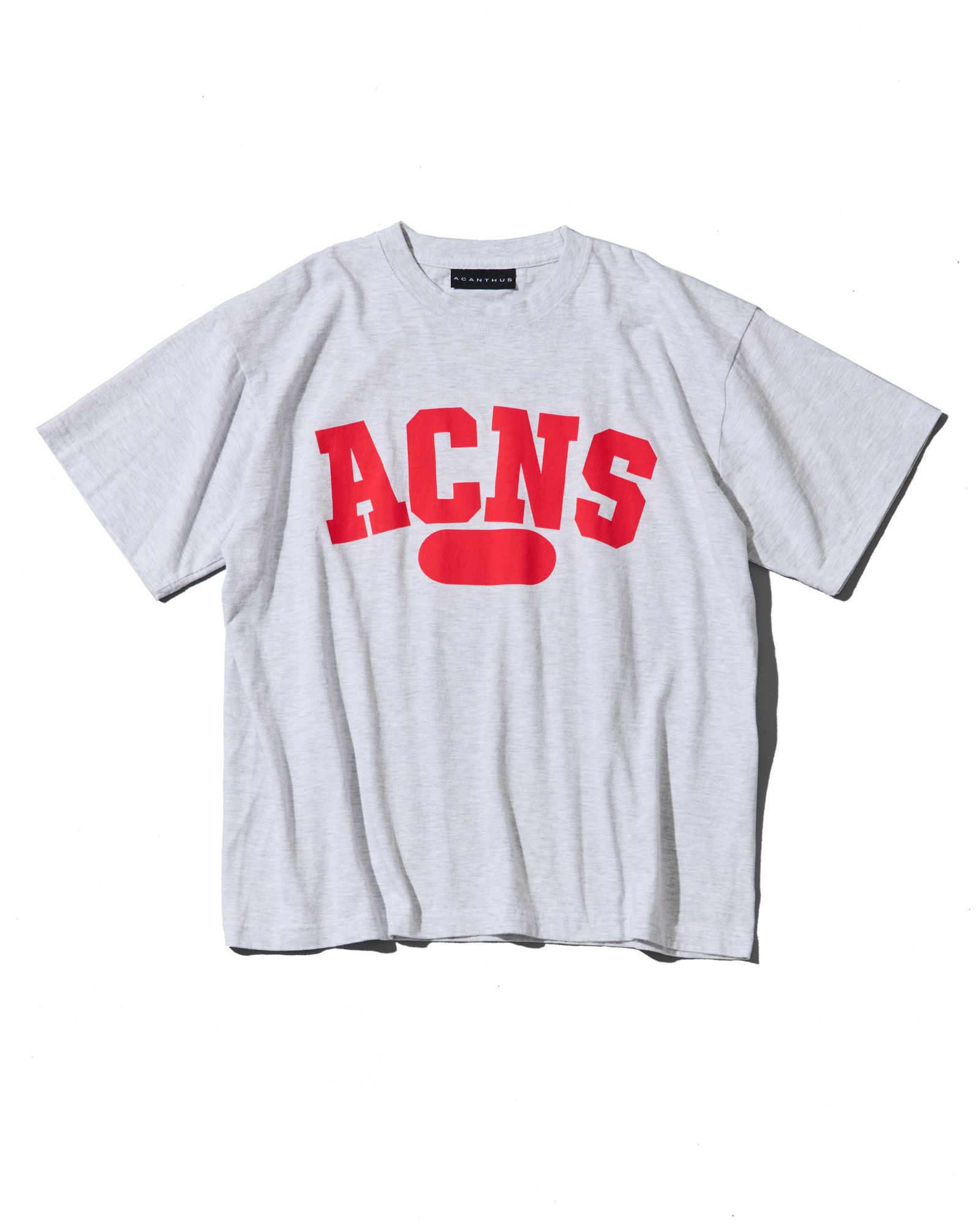 ☆先行予約☆ カレッジロゴTシャツ  /  Aging College Logo Tee / ASH GREY【CT2601】