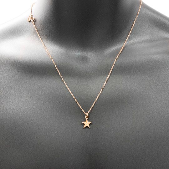 Tiny star necklace RG / タイニースターネックレス / ローズゴールド [217A02R]