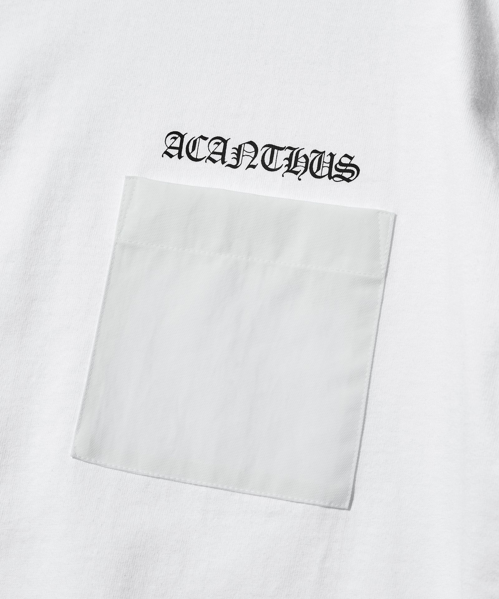 Old Logo Tee×PRO TAG BODY / Tシャツ / WHITE 【CT2506】