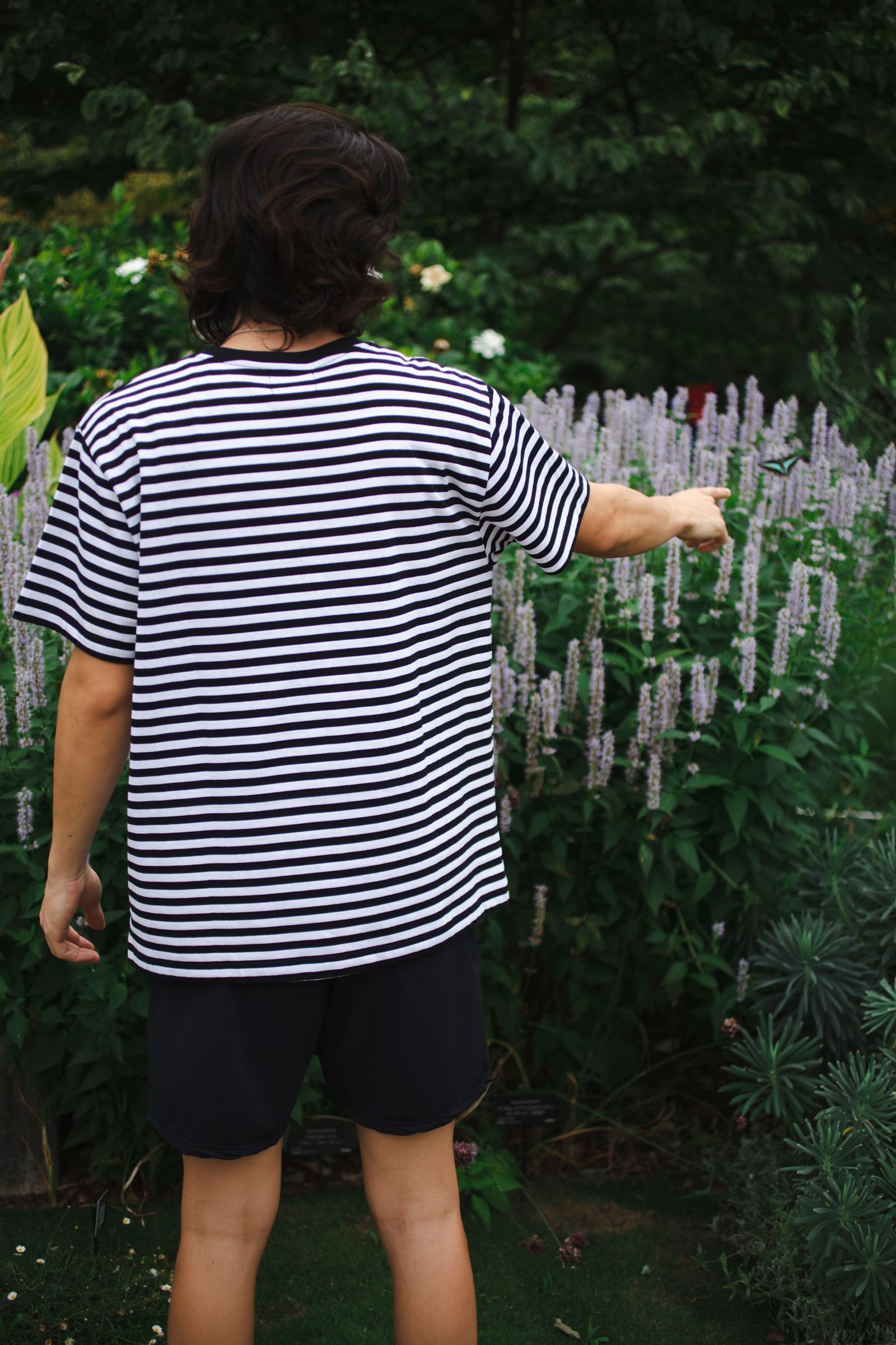 Tシャツ / Tiphanie Border / BLACK x BLUE